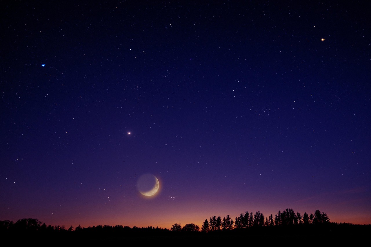 heaven, stars, nature, moon, venus, universe, night, night sky, trees